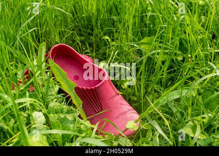 Ein Paar rosafarbener Gummigaloshes im grünen Gras Stockfoto