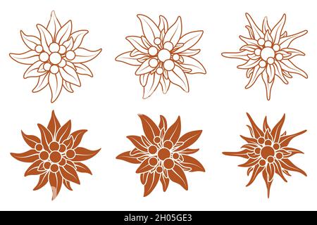 Kollektion von Logo mit edelweiss Blumen. Bergblumen. Symbol Bergsteigen. Vektordarstellung auf weißem Hintergrund isoliert. Stock Vektor