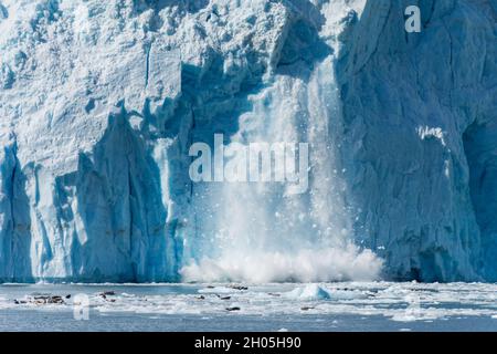 Ein aktiv kalbender Gletscher im Golf von Alaska Stockfoto