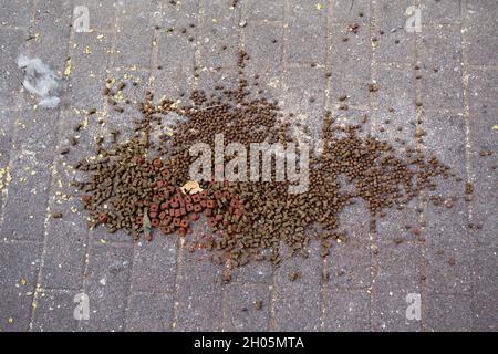 Draufsicht auf verschiedene Trockenfutter auf Haufen für Hunde auf Gehsteig Stockfoto