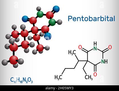 Pentobarbital, Pentobarbiton-Molekül. Es ist Beruhigungsmittel, hypnotisches Mittel. Wird zur Behandlung von Kurzzeitstörungen verwendet. Strukturelle chemische Formel Stock Vektor