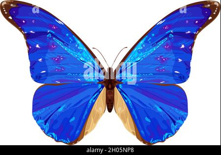 Blauer Schmetterling. Tropisches Insekt. Neonfarben. Vektordarstellung auf weißem Hintergrund isoliert. Stock Vektor
