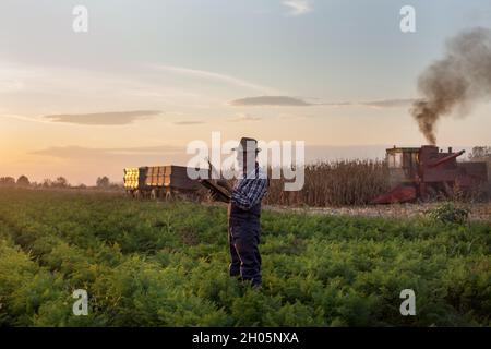 Senior Farmer überprüft die Karottenqualität auf der Plantage, während der Mähdrescher im Hintergrund auf dem Feld arbeitet Stockfoto