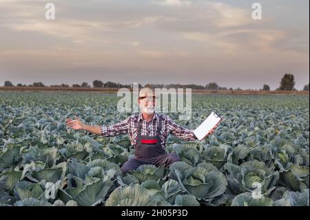 Zufriedener älterer Landwirt, der im Herbst auf dem Kohlfeld die Waffen aufhob Stockfoto