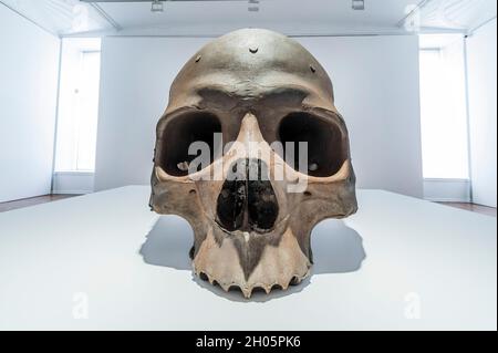 London, Großbritannien. Oktober 2021. Dead Weight, 2021 - Ron Mueck, 25 Years of Sculpture, 1996-2021, Galerie Thaddaeus Ropac, London. Kredit: Guy Bell/Alamy Live Nachrichten Stockfoto