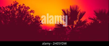 Sommerlandschaft mit Blick auf das Meer bei Sonnenuntergang. Konzept Toning in Duoton-Effekt. Abstrakter Hintergrund. Stockfoto