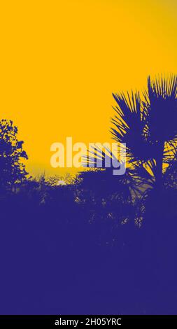 Sommerlandschaft mit Blick auf das Meer bei Sonnenuntergang. Konzept Toning in Duoton-Effekt. Abstrakter Hintergrund. Stockfoto