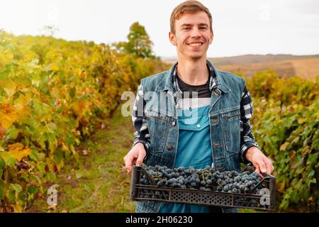 Positiver junger Mann in kariertem Hemd und ärmellosem Denim-Hemd, der mit einem Lächeln auf die Kamera blickt und während der Arbeit eine Plastikbox mit Trauben trägt Stockfoto