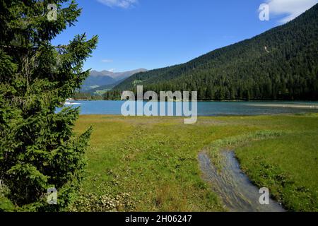 Der Toblacher See im sumpfigen Gebiet mit den Einlaufgewässern der Rienza Stockfoto