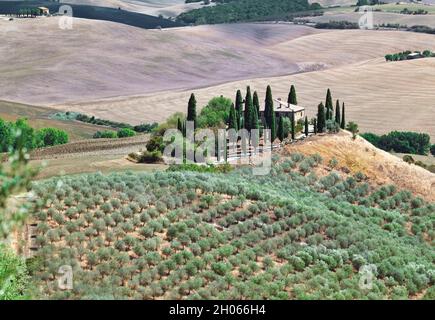 San Quirico d’Orcia. Typische Landschaft des Val d'Orcia Toskana Italien mit Zypressen und Olivenhainen Stockfoto