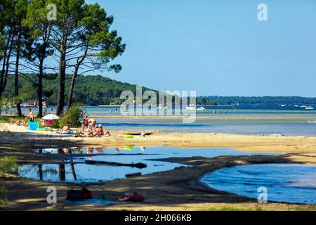 Biscarrosse (Südwestfrankreich), Navarosse: Strand des Teiches von Cazaux und Sanguinet Stockfoto