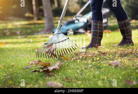 Nahaufnahme des Rechen für Blätter auf dem Rasen. Konzept der saisonalen Gartenarbeit Stockfoto