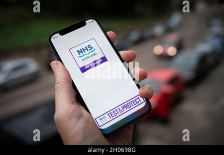 Ein Smartphone, das die Status-App von NHS Scotland Covid anzeigt. Bilddatum: Montag, 11. Oktober 2021. Stockfoto