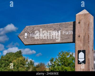 Ein verwitterter, hölzerner Wegweiser weist auf den Hadrians Wall Path, einen National Trail in Großbritannien, hin. Aufgenommen an einem sonnigen Tag mit blauem Himmel. Stockfoto