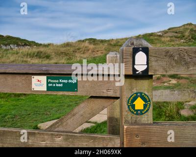 Schilder auf einem verwitterten hölzernen Pfosten zeigen den Weg des Hadrians Wall Path im Northumberland National Park, Großbritannien. Ein Schild fordert auch, dass Hunde gehalten werden o Stockfoto