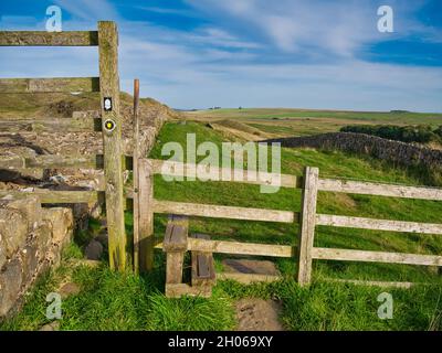 Ein hölzerner Treppenstile mit Schildern kreuzt einen Zaun zwischen zwei Feldern auf dem Hadrian's Wall Path in Northumberland, England, Großbritannien. Aufgenommen an einem sonnigen Tag mit Stockfoto