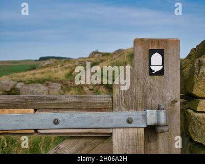 Das weiße Schild des Acorn National Trail auf einem verwitterten hölzernen Pfosten zeigt den Weg des Hadrians Wall Path im Northumberland National Park, Großbritannien. Stockfoto