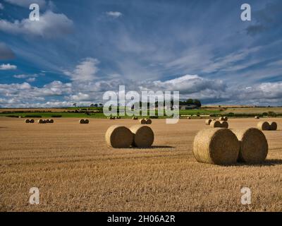 Sonnenschein auf Heuballen zur Herbsterntezeit in Northumberland, England, Großbritannien - im Hintergrund erscheinen landwirtschaftliche Gebäude mit einer dramatischen Wolkenlandschaft darüber Stockfoto