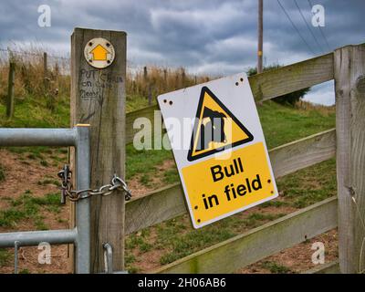 Ein gelbes und schwarzes Schild, das an einem Holzzaun befestigt ist, warnt Wanderer vor einem Stier, der sich auf einem Feld vor uns auflöst. Stockfoto