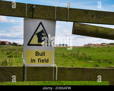 Ein gelbes und schwarzes Schild, das an einem Holzzaun befestigt ist, warnt Wanderer vor einem Stier, der sich auf einem Feld vor uns auflöst. Stockfoto