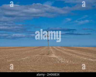 Ein einzelner hölzerner Stromübertragungsmast in einem Feld von Erntegutstoppeln mit Stromleitungen links und rechts. Aufgenommen an einem sonnigen Tag am Ende des Sommers Stockfoto