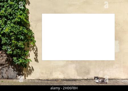 Modell. Leere weiße Plakatwand auf alten geknackten Beton Vintage Wand Hintergrund Stockfoto