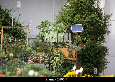 Kleine Solaranlage im Hinterhof voller verschiedener Pflanzen und Blumen Stockfoto