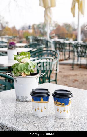 Zimmerpflanze im Eimer und zwei recycelbare Pappkaffeetassen mit weihnachtsdruck Stockfoto