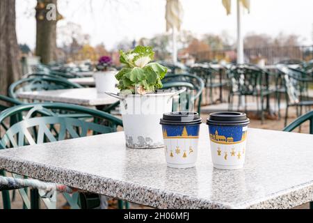 Zimmerpflanze im Eimer und zwei recycelbare Pappkaffeetassen mit weihnachtsdruck Stockfoto