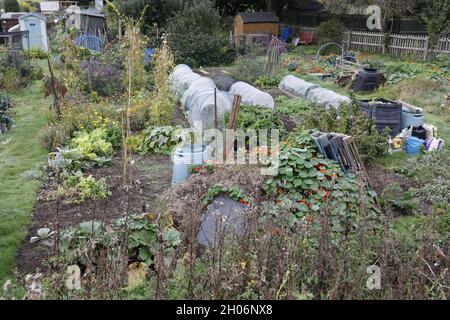 Produktive Zuteilungen mit Saisonende-Gemüse im Spätherbst an der Bahnlinie in Warwick UK Stockfoto