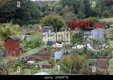 Produktive Zuteilungen mit Saisonende-Gemüse im Spätherbst an der Bahnlinie in Warwick UK Stockfoto