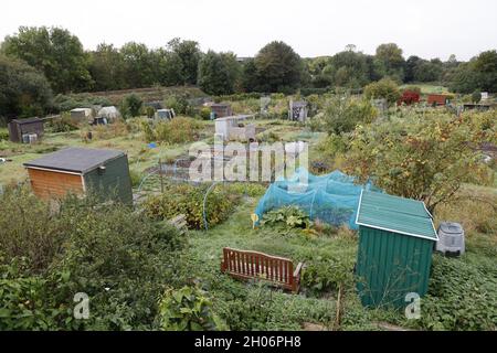 Produktive Zuteilungen mit Saisonende-Gemüse im Spätherbst an der Bahnlinie in Warwick UK Stockfoto