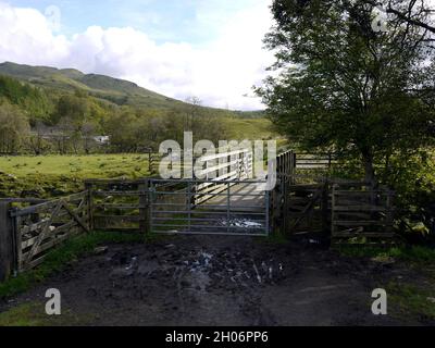 Tore und kleine Holzbrücke über den schlammigen West Highland Way, Glen Falloch, Schottische Highlands Stockfoto