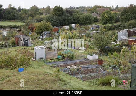 Produktive Zuteilungen mit Saisonende-Gemüse im Spätherbst an der Bahnlinie in Warwick UK Stockfoto