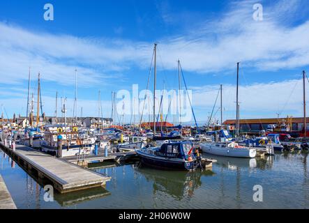 Hafen und Yachthafen in Arbroath, Schottland, Großbritannien Stockfoto