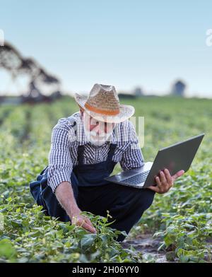 Reifer Bauer mit Laptop hockt auf dem Feld und kontrolliert Pflanzen. Bewässerungssystem im Hintergrund Stockfoto