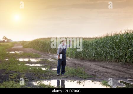 Senior Farmer mit Laptop vor Teichen und Schlamm in überschwemmten Feld stehen Stockfoto