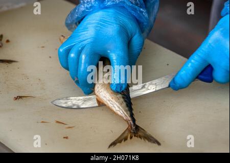 Ein Arbeiter schneidet geräucherte Makrelen mit einem Messer in Stücke. Stockfoto