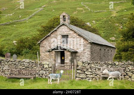 Herdwick Schafe vor Martindale Old Church im englischen Lake District Stockfoto