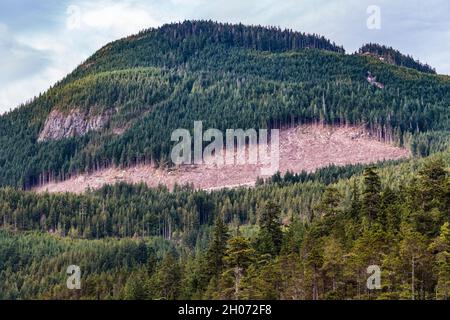 Ein Waldstück an einem Berghang an der Küste von British Columbia wurde klar geschnitten, wobei eine Forststraße am Fuße des abgeholzten Gebiets sichtbar ist. Stockfoto