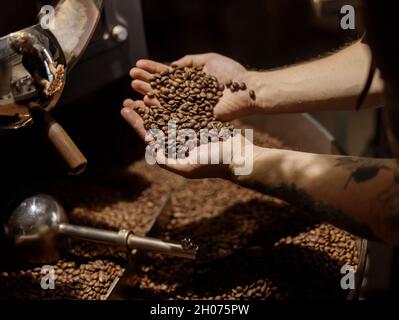 Männliche Hände halten frisch geröstete Kaffeebohnen Stockfoto