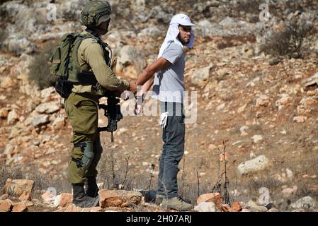 Israel Defence forces Soldaten verhindern den Zugang von Einheimischen und Aktivisten von Olivenplantagen während der Erntezeit. Die Plantage am Stadtrand von Salfit wurde im letzten Jahr an einen neuen jüdischen Vorposten angeschlossen - „AVI view Farm“, obwohl die Plestinier Landtaten für das Land besitzen. Während eines Versuchs, die weiße Linie zu durchbrechen, die eine geschlossene Militärzone in den Plantagen einschließt, verwendete die Armee Betäubungsgranaten und verhaftete drei Aktivisten. Salfit, das Westjordanland, am 11. Oktober 2021. (Matan Golan/Alamy Live News) Stockfoto