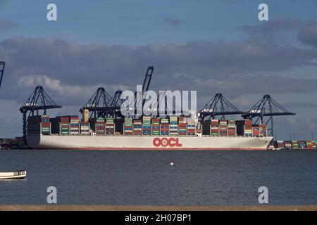 Das Containerschiff OOCL Hong Kong dockte im Hafen von Felixstowe, Suffolk, Großbritannien, an. Stockfoto