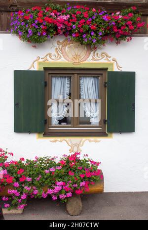 Holzfenster an der Außenwand gestrichen mit bunten Pflanzen in Töpfen herum Stockfoto