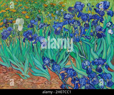 Irises (1889) von Vincent Van Gogh. Stockfoto