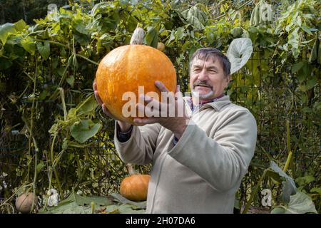 Grauhaariger alter Bauer mit Bart hält einen großen Kürbis in den Händen. Konzept von Thanksgiving, Halloween und Ernte. Stockfoto