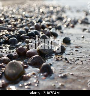 Steine am Strand der polnischen Ostseeküste bei Kolobrzeg bei Sonnenuntergang im Gegenlicht Stockfoto