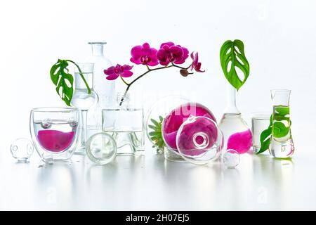 Reflexionen, florale Elemente im Wasser verzerrt. Natürliches Labor. Abstraktes Blumenarrangement mit magentafarbenen Orchideenblüten und exotischen Monstera Stockfoto