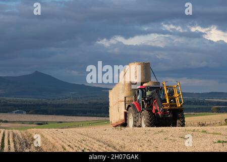 Ein Blick auf Bennachie in der Landschaft von Aberdeenshire, mit einem Traktor und Anhänger, der Strohballen von einem kürzlich geernteten Feld transportiert Stockfoto