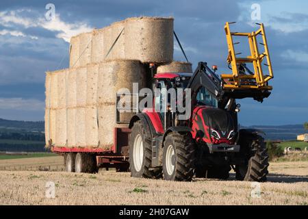 Ein Traktor und beladener Anhänger, der Strohballen aus einem Feld in Aberdeenshire entfernt Stockfoto